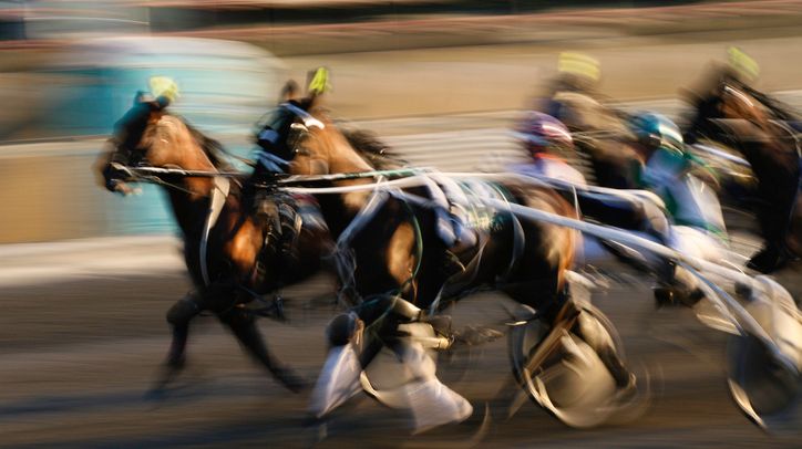 Fifth.  The Prix Electra in Vincennes this Friday, December 10, 2021. – Angers Info