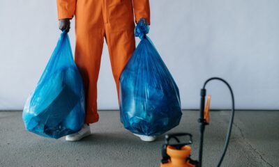 poubelle - éboueurs - déchets