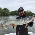 Brochet capturé sur la Maine à Angers - Stéphane Montailler.j