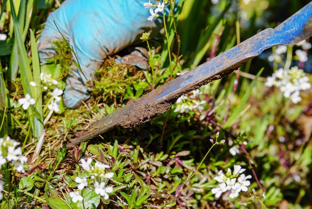 L’image actuelle n’a pas de texte alternatif. Le nom du fichier est : gardening-3296781_1280.jpg
