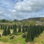 Un employé de Jardiland renvoyé devant la justice après deux incendies à Avranches