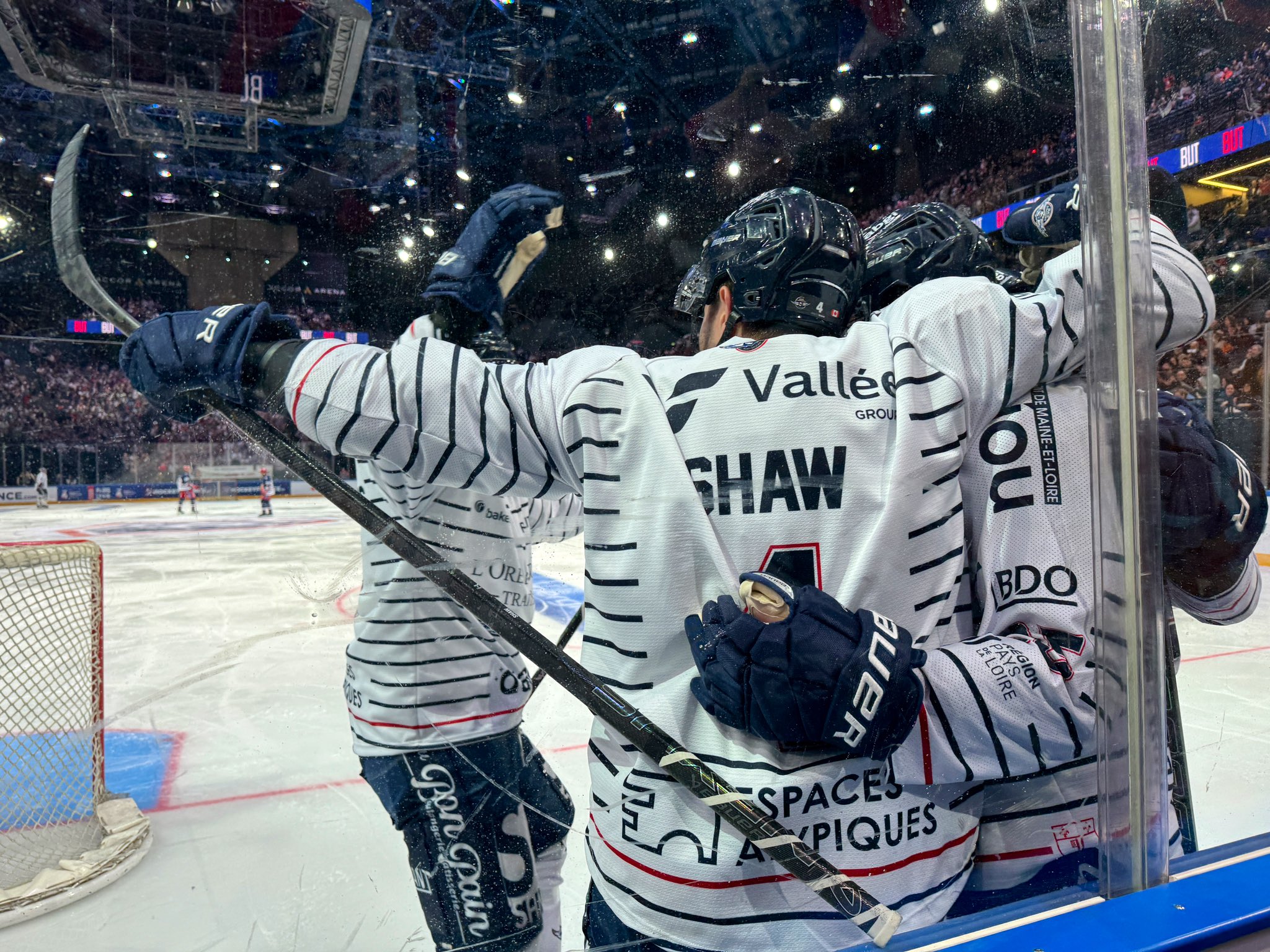 Les Ducs D Angers Triomphent En Finale De La Coupe De France De Hockey Les Ducs D Angers Triomphent En Finale De La Coupe De France De Hockey