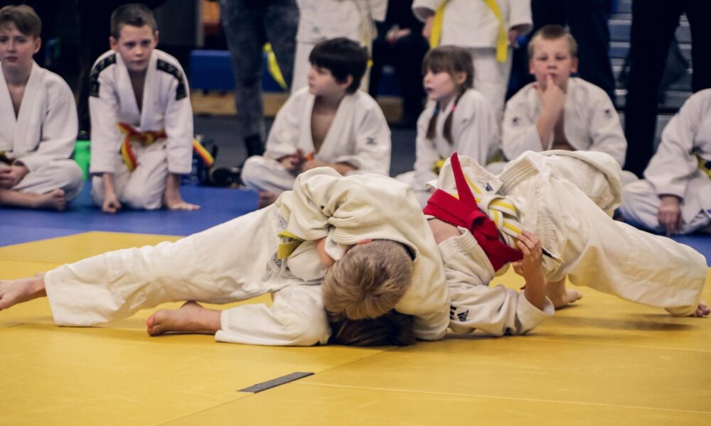 Arts martiaux : Une pluie de médailles pour le Judo-club herbretais aux Championnats de France de chanbara