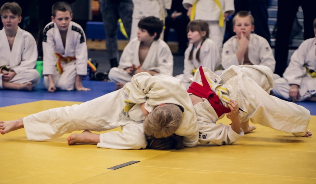 L’image actuelle n’a pas de texte alternatif. Le nom du fichier est : markuzsm-judo-4454835_1920.jpg