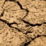 Sécheresse : la préfecture de la Sarthe impose des restrictions d’eau dans plusieurs bassins versants