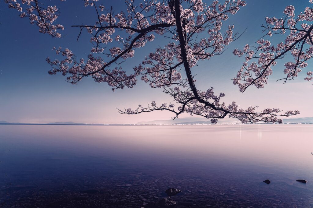 L’image actuelle n’a pas de texte alternatif. Le nom du fichier est : kanenori-lake-7938396_1920.jpg