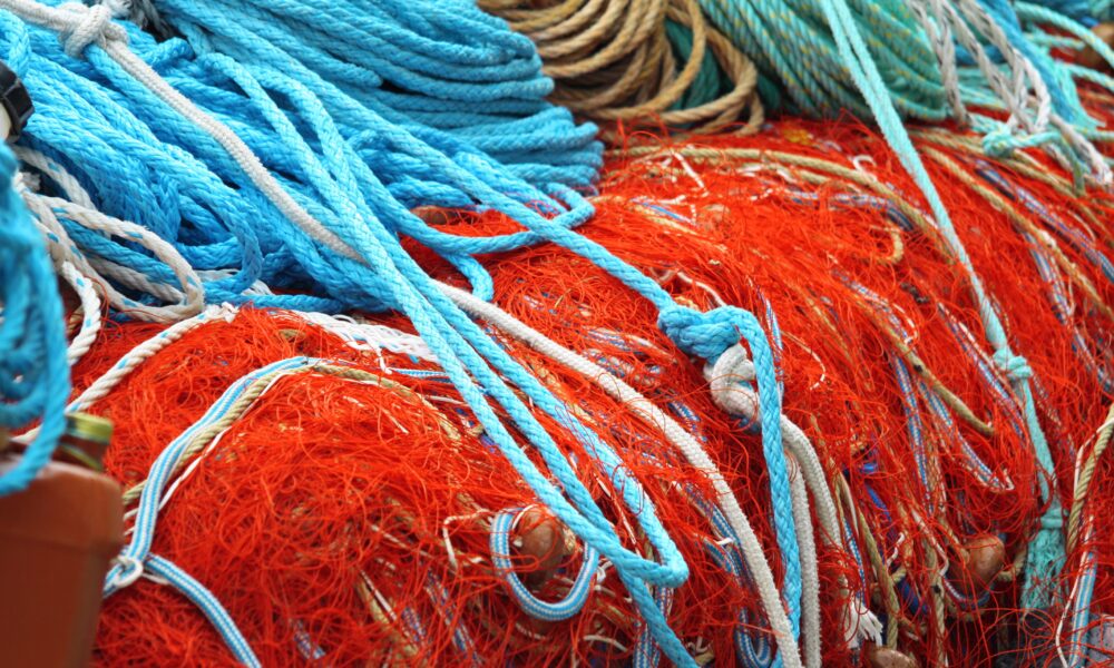 Pêche industrielle dans la Manche : la bataille pour protéger les côtes s’intensifie