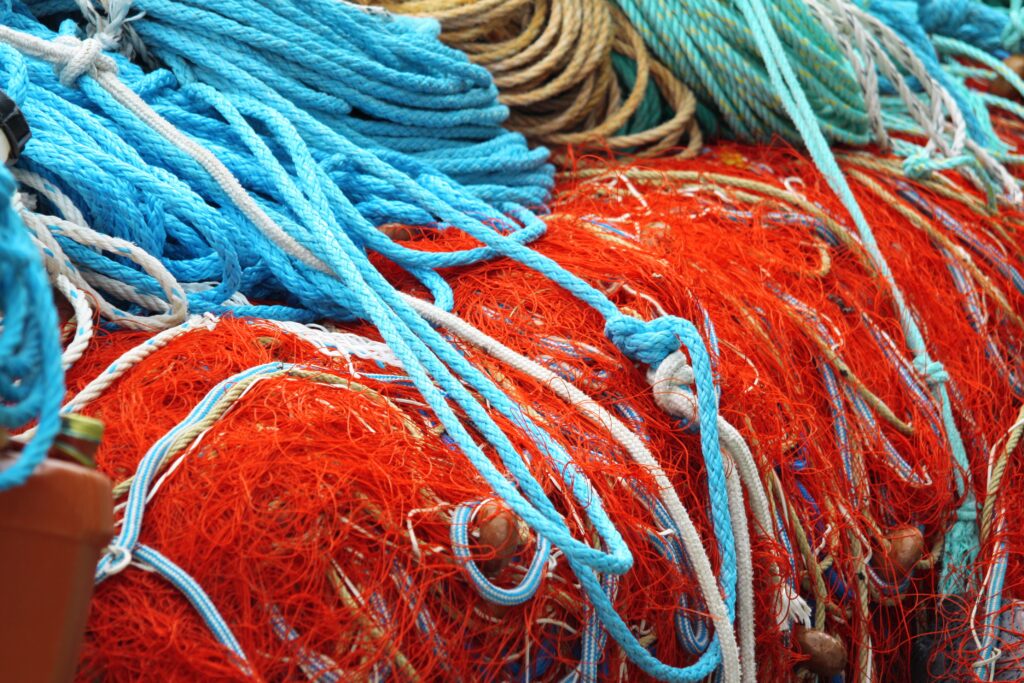L’image actuelle n’a pas de texte alternatif. Le nom du fichier est : patrickblaise-nets-574540-scaled.jpg