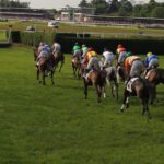Le Lion-d’Angers : un week-end placé sous le signe des courses à l’hippodrome de l’Isle-Briand