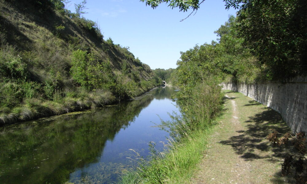 Canal de Rompsay : Envahi par des plantes exotiques invasives, le cours d’eau fait l’objet d’une opération de faucardage