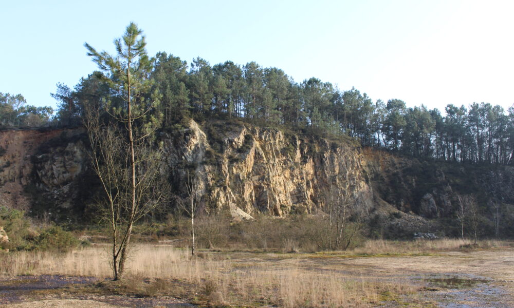 À la découverte de la Fosse Arthour : entre légende arthurienne, escalade et randonnée au cœur du Bocage