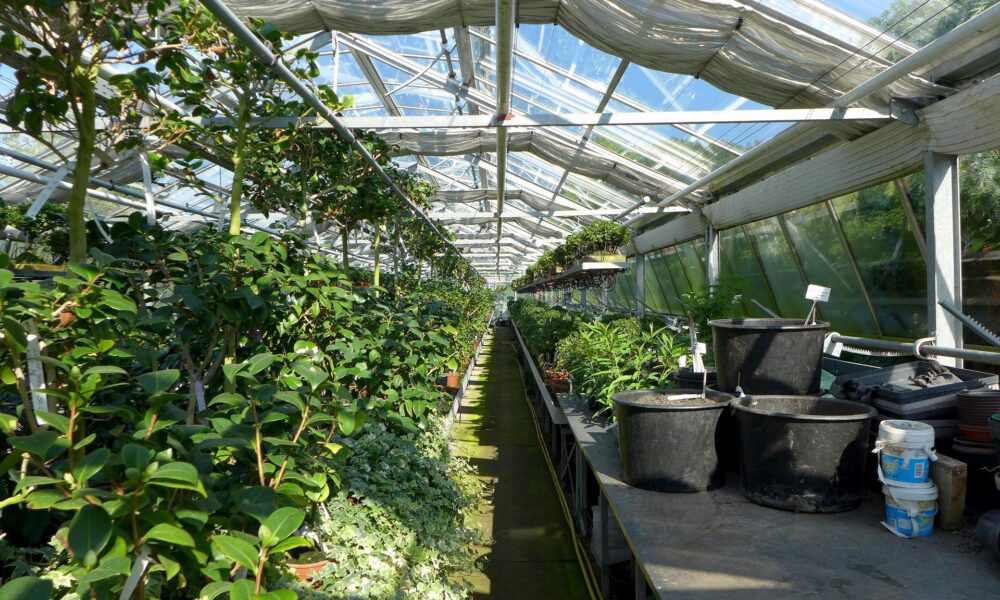 Cognac : les jardins de la Nauve cultivent l’excellence sur près de 4 hectares