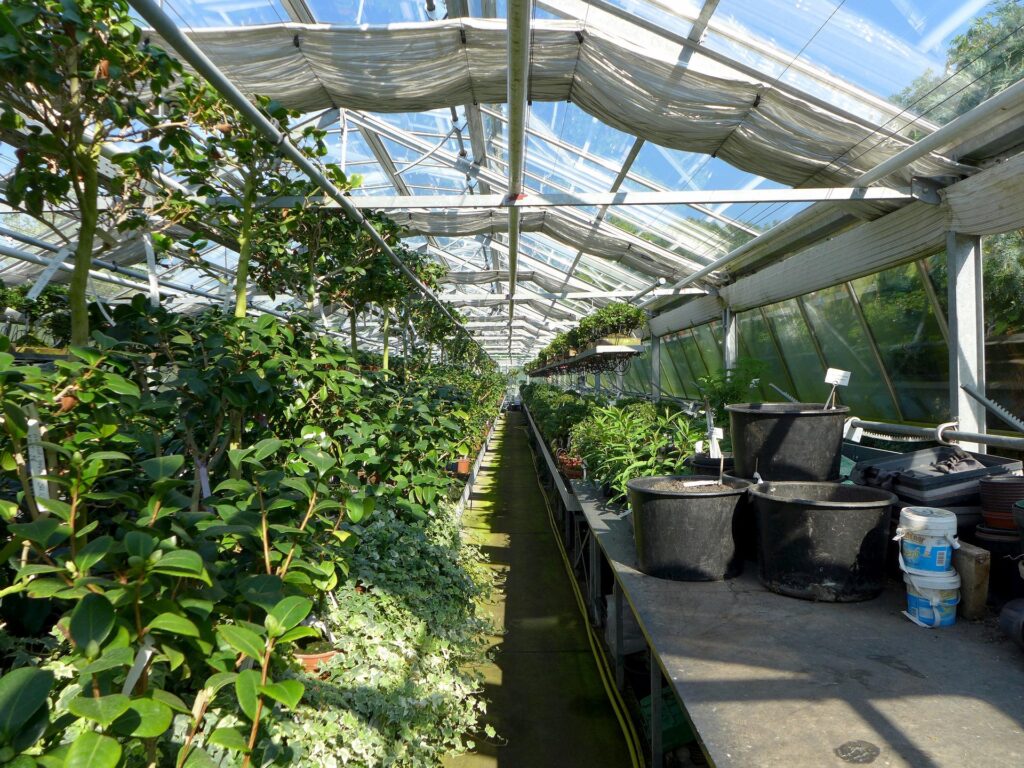 L’image actuelle n’a pas de texte alternatif. Le nom du fichier est : petrafaltermaier-greenhouse-2499758_1920.jpg