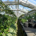Cognac : les jardins de la Nauve cultivent l’excellence sur près de 4 hectares