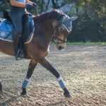 Mondiaux d’Aix-la-Chapelle : les Ligériens Nicolas Touzaint et Alexis Goury sélectionnés