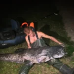 « Il s’est mis à dérouler » : en Maine-et-Loire, Mateo sort un silure géant de 2,24 m après 20 minutes de combat