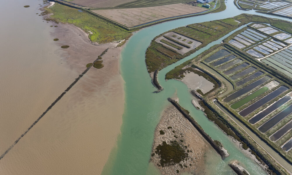 Sur l’île de Noirmoutier, le perré des Homardiers termine sa rénovation face à la montée des eaux
