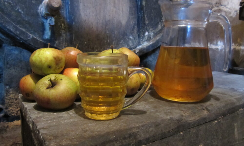 Touchés par la sécheresse, les producteurs de cidre comptent sur une année à faible récolte