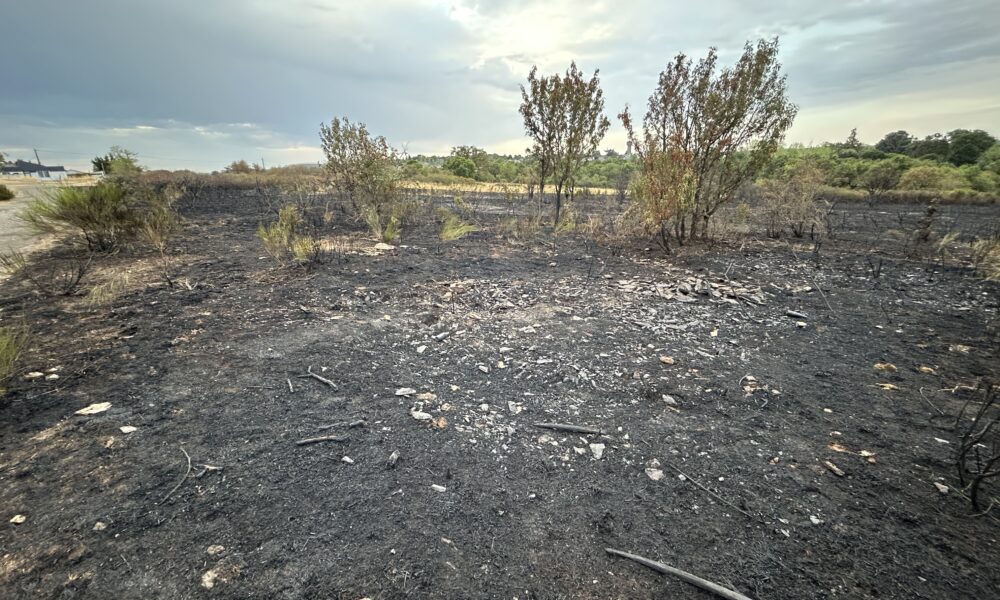 Incendies à la frontière des Deux-Sèvres et du Maine-et-Loire : Un ouvrier agricole placé en garde à vue