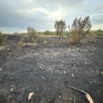 Incendie à la Roche de Mûrs à Mûrs-Erigné : 2 000 m² de végétation brûlés
