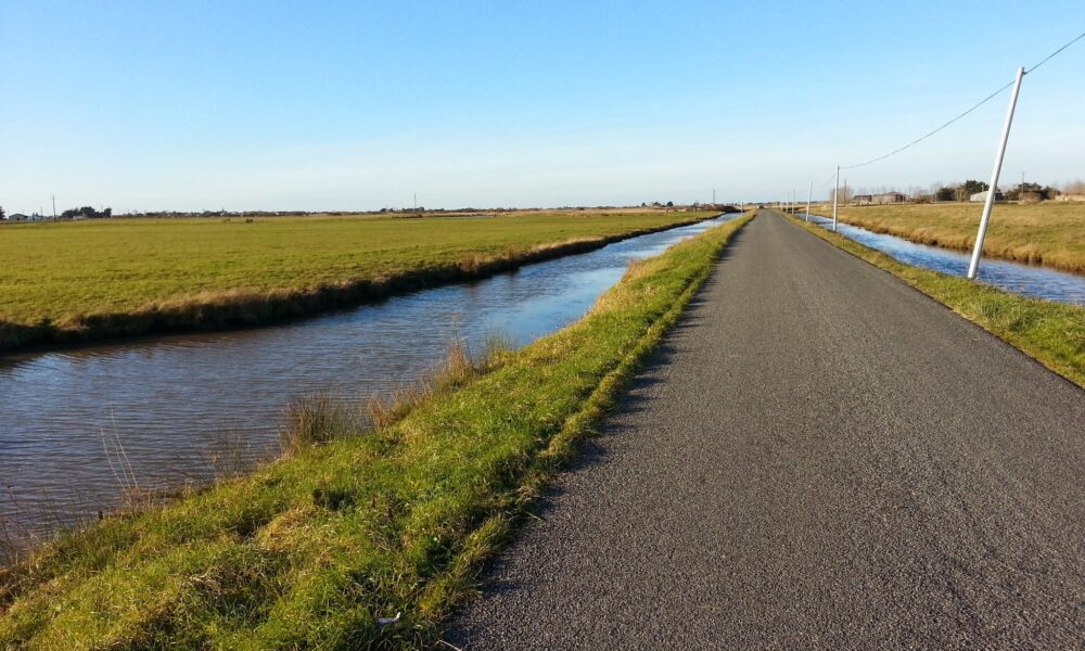Marais breton : Une sécheresse historique menace la biodiversité et les oiseaux