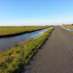 Marais breton : Une sécheresse historique menace la biodiversité et les oiseaux