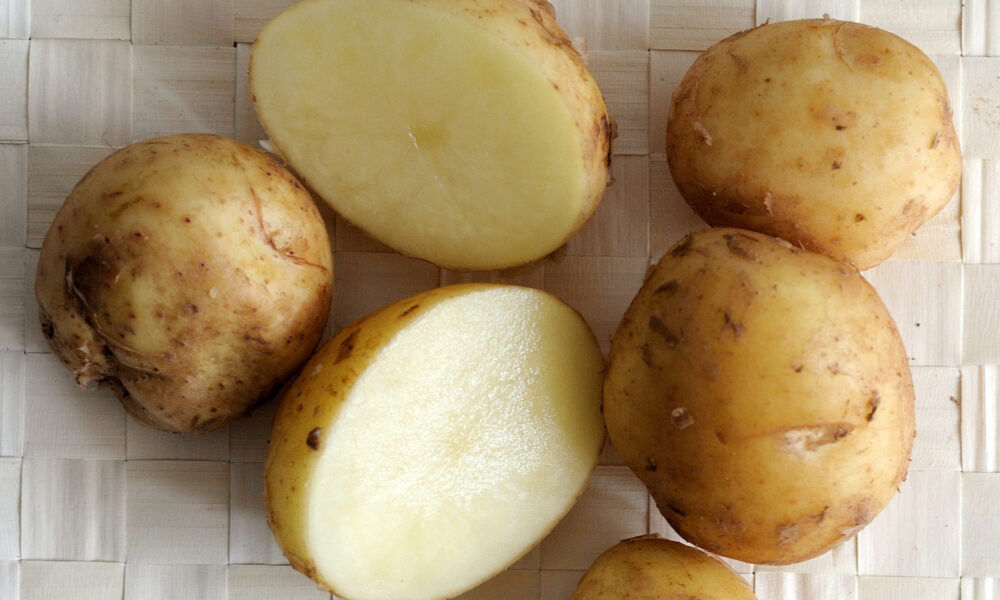 Noirmoutier : La célèbre pomme de terre de l’île devient un héros de bande dessinée