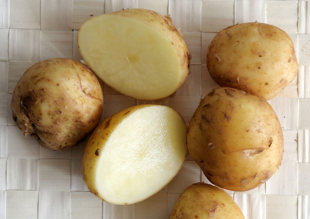 L’image actuelle n’a pas de texte alternatif. Le nom du fichier est : Pomme_de_terre_variete_bonnotte.jpeg