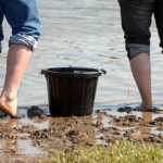Grandes marées : la pêche à pied sous surveillance renforcée en Charente-Maritime