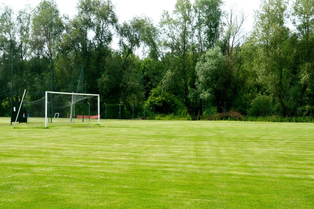 L’image actuelle n’a pas de texte alternatif. Le nom du fichier est : viviane6276-football-3511114_1920.jpg