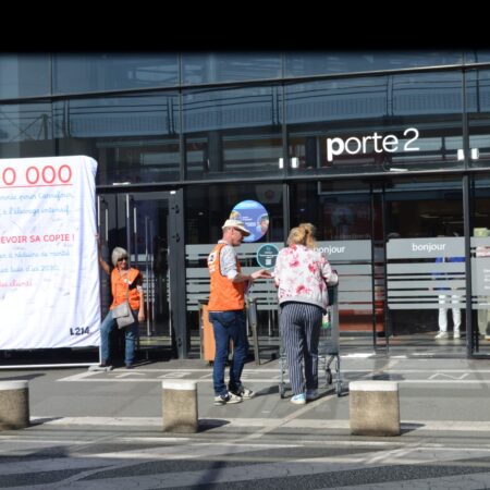 À Angers, les bénévoles de L214 se sont mobilisés ce samedi 19 septembre devant Carrefour Saint-Serge. L’association demande à l’enseigne de réduire de moitié le nombre d’animaux tués d’ici 2030.