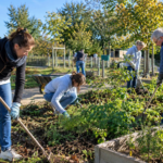 Briollay : les habitants invités à retrousser leurs manches pour la Journée citoyenne du 3 octobre Nettoyage, jardins, fresque, sentiers, stade ou encore lutte contre les frelons asiatiques : les habitants de Briollay sont invités à participer à une matinée collective le samedi 3 octobre.
