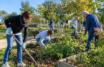 Nettoyage, jardins, fresque, sentiers, stade ou encore lutte contre les frelons asiatiques : les habitants de Briollay sont invités à participer à une matinée collective le samedi 3 octobre.