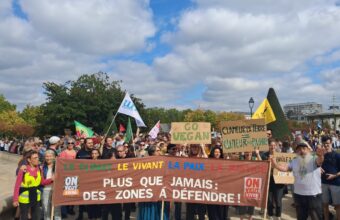 Parti du jardin du Mail, le cortège a traversé Angers ce samedi 26 septembre dans le cadre d’une mobilisation nationale. Les organisateurs annoncent plus de 2 000 participants, tandis que les forces de l’ordre en ont comptabilisé 1 500.