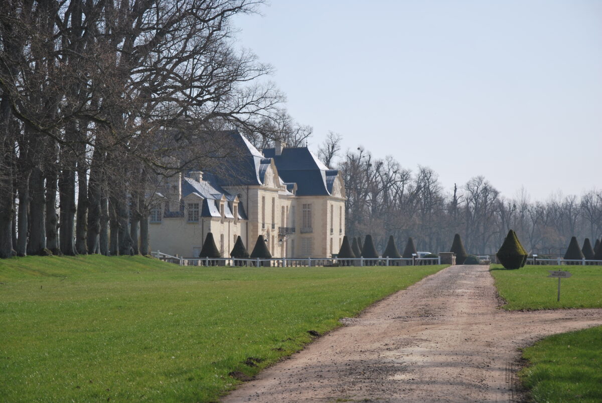L’image actuelle n’a pas de texte alternatif. Le nom du fichier est : Chateau_de_Medavy_depuis_lallee-scaled.jpg