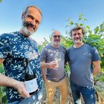 Dans les vignes du domaine de l’AM, à Savennières, l’histoire de trois copains qui vendangent entre amis
