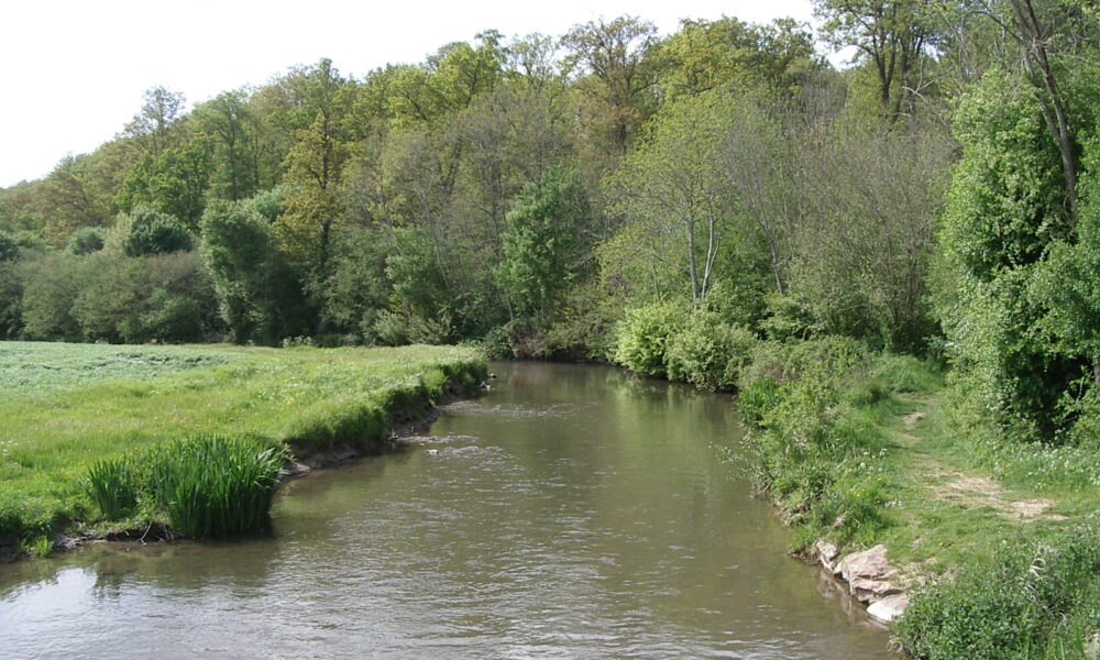 « Déplacer une rivière » : le chantier spectaculaire qui va rallonger la Risle de 320 mètres dans l’Orne