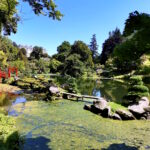 Le Parc oriental de Maulévrier célèbre la culture japonaise avec son festival Matsuri