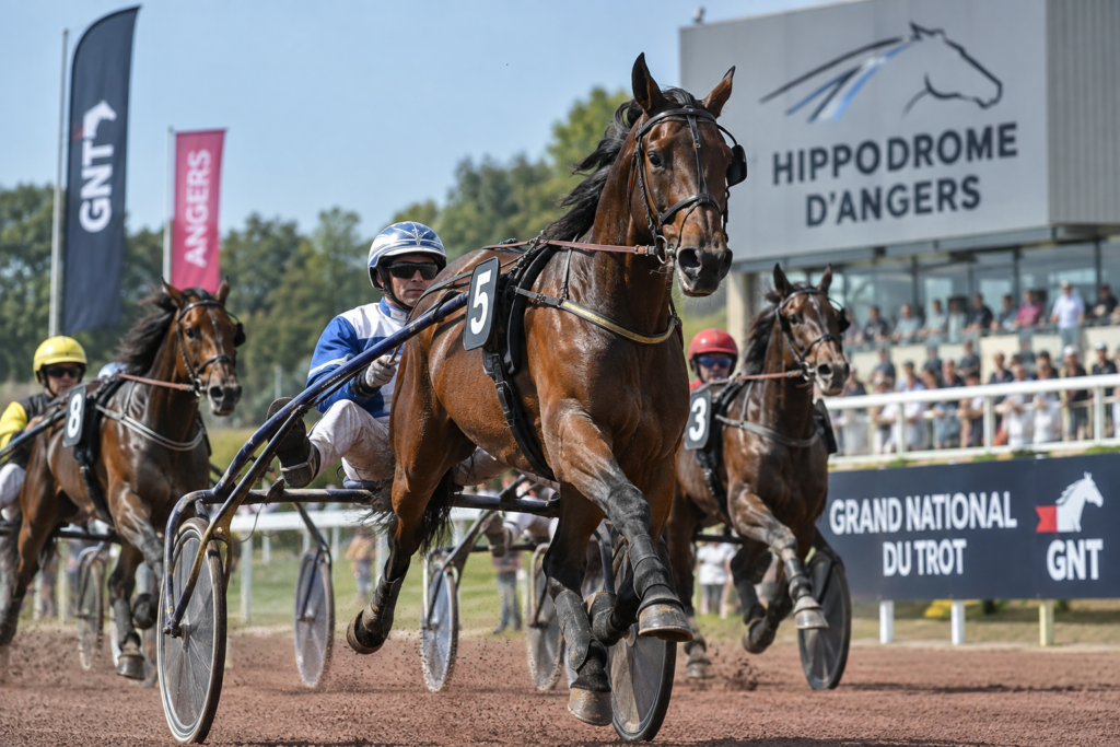 Grand National du Trot à Angers avec les chevaux et drivers sur la piste de l'hippodrome d'Angers-Écouflant