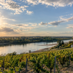 Météo en Maine-et-Loire : jusqu’à 26 °C attendus ce dimanche Météo en Maine-et-Loire : jusqu’à 26 °C ce dimanche