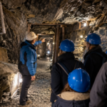 Journées du patrimoine : dernier jour pour profiter de ces rendez-vous dimanche en Maine-et-Loire Dernier jour des Journées du patrimoine ce dimanche 20 septembre en Maine-et-Loire : Mine Bleue, orgue, archéologie, aviation, littérature et savoir-faire locaux.