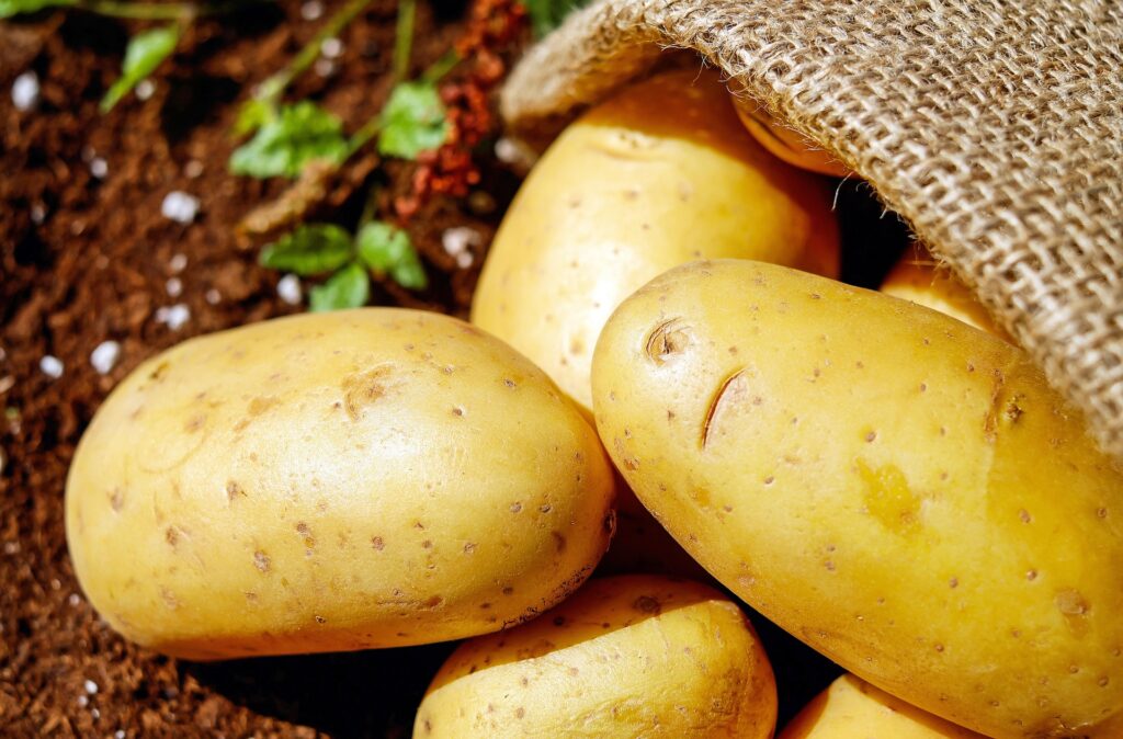 L’image actuelle n’a pas de texte alternatif. Le nom du fichier est : couleur-potatoes-1585060_1920.jpg