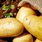 Championnat de lancer de patates et festivités : la Fête de la patat’ revient à Saint-Ouen-de-Mimbré