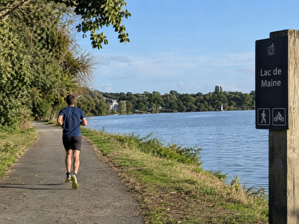Le chemin de halage du lac de Maine sera fermé du 14 au 25 septembre. Une mauvaise nouvelle pour les nombreux joggeurs qui rejoignent le lac depuis le centre-ville.