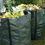 World Clean Up Day à Cholet : faible affluence au parc Chambord pour une première édition