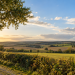 Après un week-end doux, le beau temps se poursuit en Maine-et-Loire. Ce lundi 21 septembre, les températures grimperont jusqu’à 26 °C à Angers, malgré un ciel parfois partagé entre nuages et éclaircies.