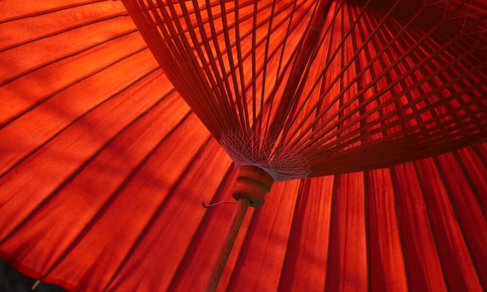 À Poitiers, la Fabrique de parapluies François fait sa révolution en vendant des ombrelles anti-UV