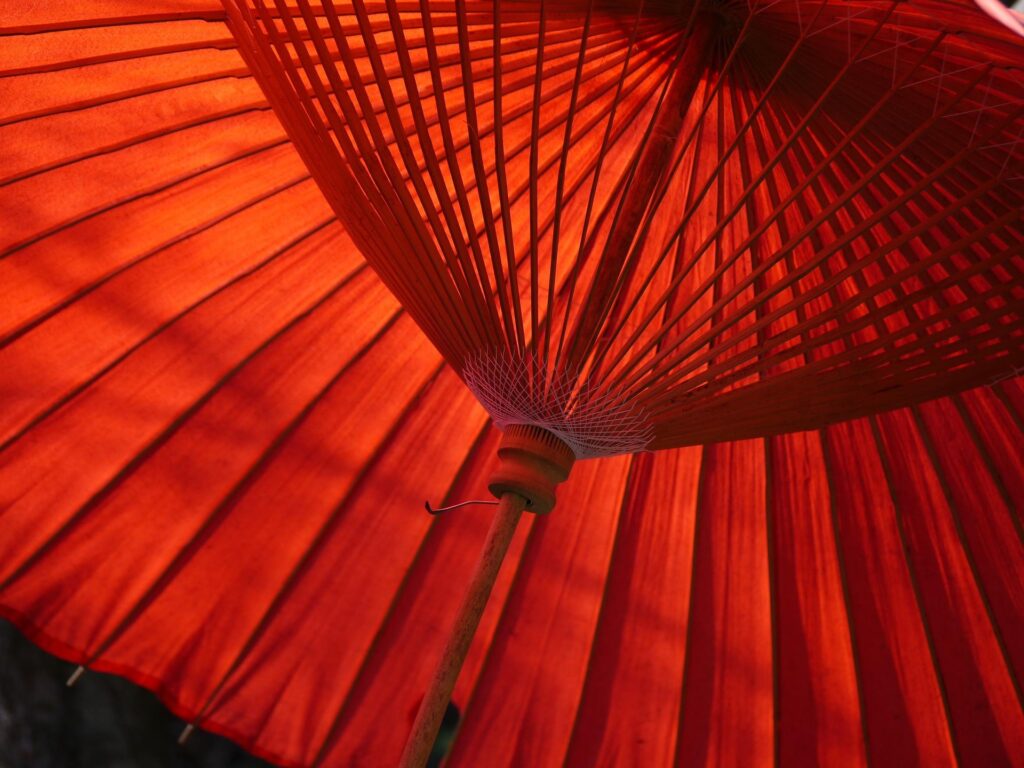 L’image actuelle n’a pas de texte alternatif. Le nom du fichier est : mikuratv-umbrella-65380_1920.jpg