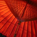 À Poitiers, la Fabrique de parapluies François fait sa révolution en vendant des ombrelles anti-UV