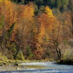 Rivière par rivière, voici comment la Manche prépare la gestion de ses ressources en eau d’ici 2050